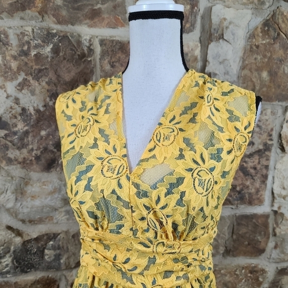 Nwt Plenty by Tracy Reese 4 Lace Niki Dress - Picture 3 of 11